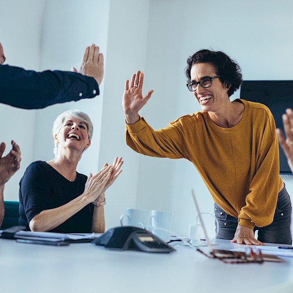 Insight into the seminar: Leading without a superior function