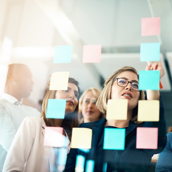 Insight into the seminar - Leading without a superior function