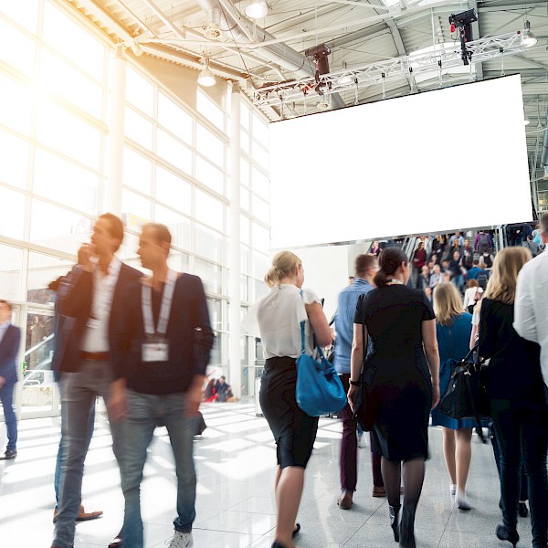 Inzicht in het seminar - Beurstraining
