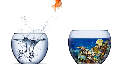 Seminar Umgang mit Veränderungen der Dr. G. Kitzmann Akademie