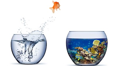 Seminar Umgang mit Veränderungen der Dr. G. Kitzmann Akademie